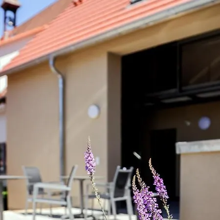 Lutz Ug Oberderdingen