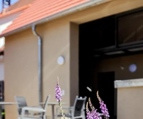 Lutz Ug 오벨던딩언